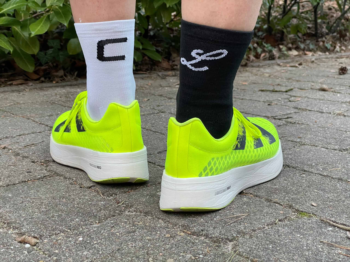 Carbon & Laktat | Socken